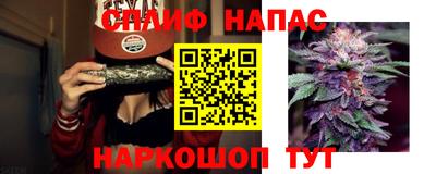 СК Балаково
