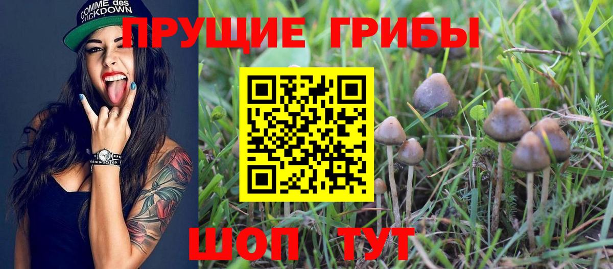 Псилоцибиновые грибы Magic Shrooms  Вход с VPN  Галлюциногенные грибы Psilocybe  Жигулёвск 